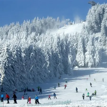 Hotel Hostel Braunlage 2*