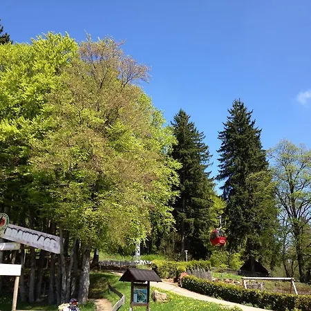 Отель Hostel Braunlage 2*